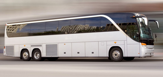 CHARTER BUS RENTAL